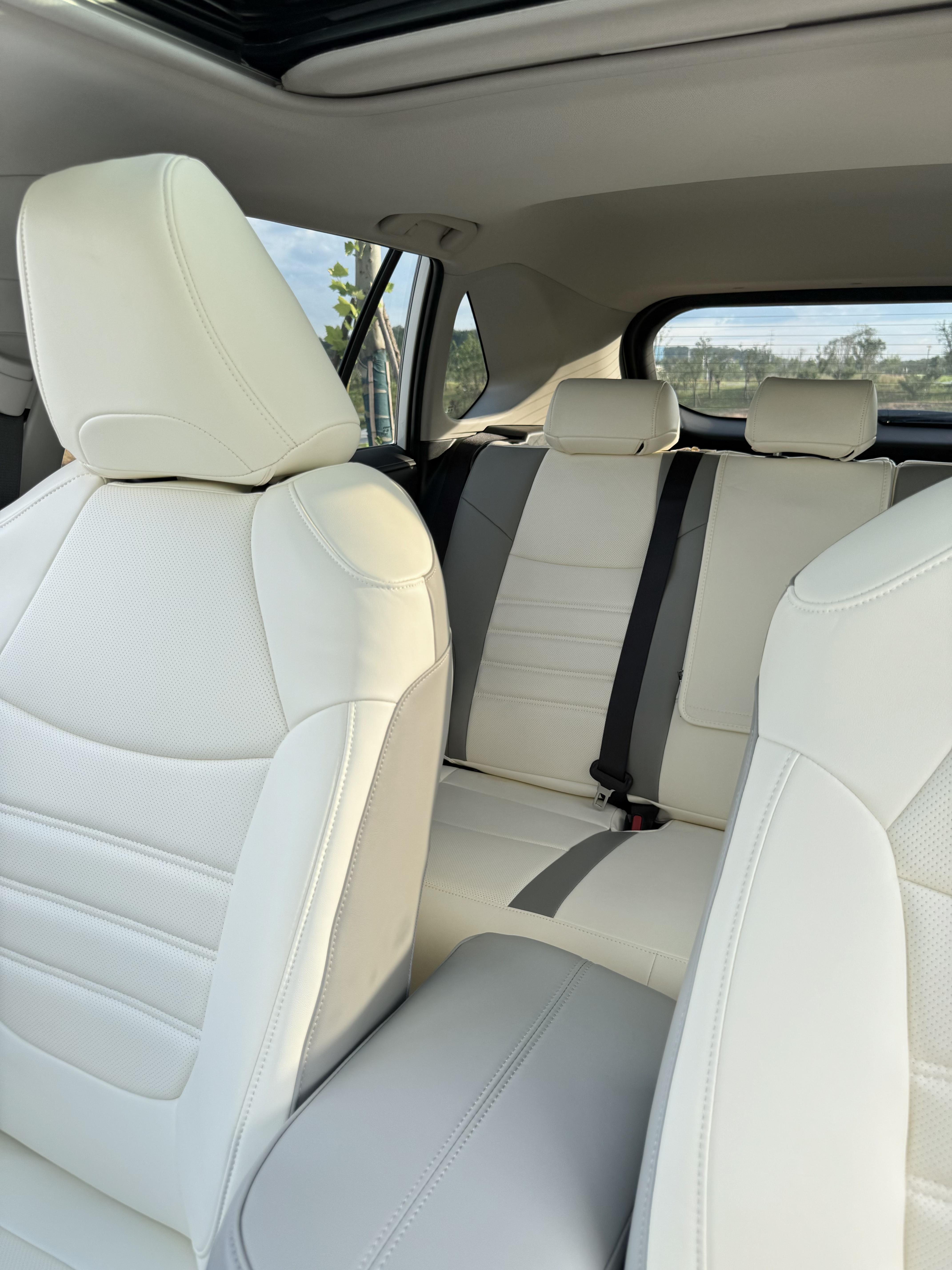 RAV4荣放双擎 2.0L 两驱豪华版展示图2